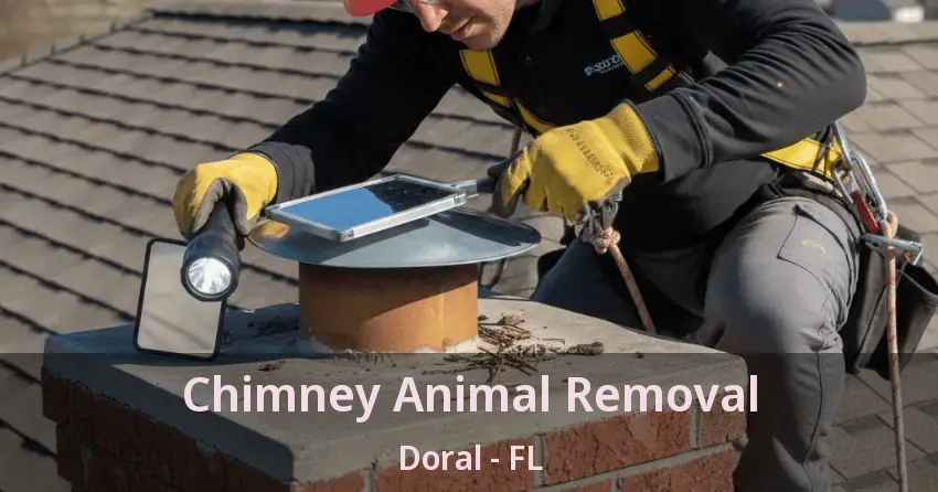 Chimney Animal Removal Doral - FL