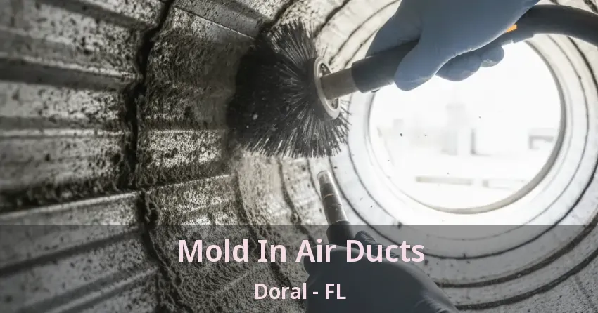 Mold In Air Ducts Doral - FL