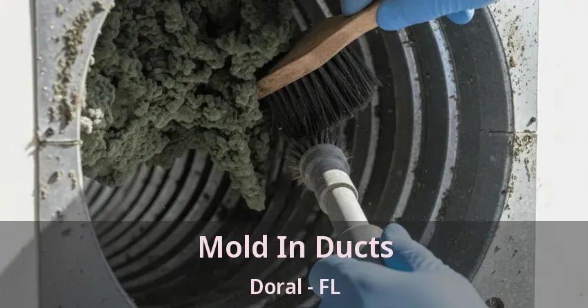 Mold In Ducts Doral - FL